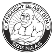 SBG Naas logo