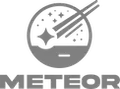 Meteor Fightwear logo