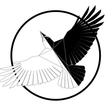 Identity Jiu-Jitsu logo
