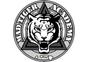 Mad Tiger Academy logo