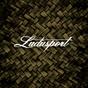 Ludusport Academy & Gym logo