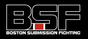 NESF Boston logo