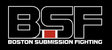 NESF Boston logo