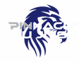 Pinnacle Jiu Jitsu logo