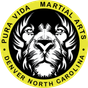 Pura Vida Martial Arts logo