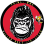 Primal MMA & Killer Bees Jiu Jitsu logo