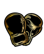 Benny Fight Academy logo