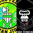 BJJ Team St. Gallen logo
