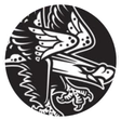 Águila Jiu-Jitsu logo