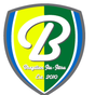 Busy Brazilian Jiu-Jitsu logo
