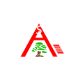Bonsai Jiu Jitsu Academy - NC logo