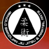 Arnold Brazilian Jiu-Jitsu logo