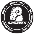 Checkmat Eidsvoll logo