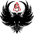 Combat Sports Academy logo