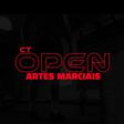 CT Open VT Team logo