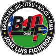 BJJF - Jose Luis Figueroa logo