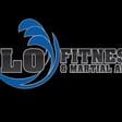 Flo Fitness And Martial Arts logo