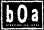 BOA BJJ Academy logo