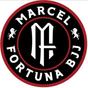 Fortuna BJJ logo