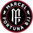 Fortuna BJJ logo