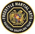 Freestyle MMA Las Vegas logo