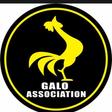 Galo Association BJJ logo