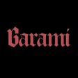 Garami Jiu-Jitsu logo
