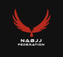 NABJJF logo