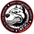 Group Fight Academy Bajo BJJ logo