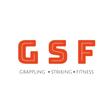 GSF Academy logo
