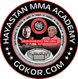 Hayastan MMA Academy logo