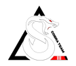 Headquarters CobraTeam Argentina logo