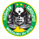 Higher Ground BJJ logo