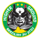 Higher Ground BJJ logo