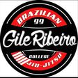 Gile Ribeiro Ponta Grossa logo