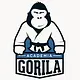 Academia Gorila Bielsko - Biała logo