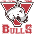 Bulls BJJ Colorado logo