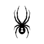 Spyder BJJ logo