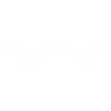 Stormstrong logo