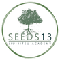 Seeds 13 Academy logo
