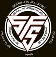 SFS MMA logo