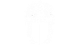Shield Brazilian Jiu-Jitsu logo