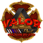 Valor BJJ logo