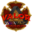 Valor BJJ logo
