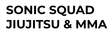 Sonic Squad logo