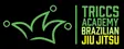 Triccs Academy logo