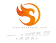 Sparks BJJ logo