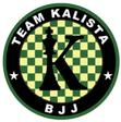 Team Kalista USA logo