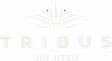 The Nexus Collective logo