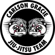 Thiago Mendes BJJ School logo